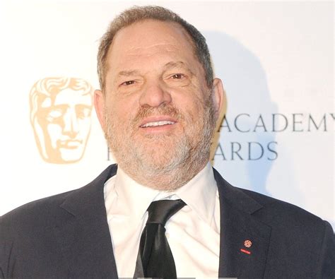 harvey weinstein wiki